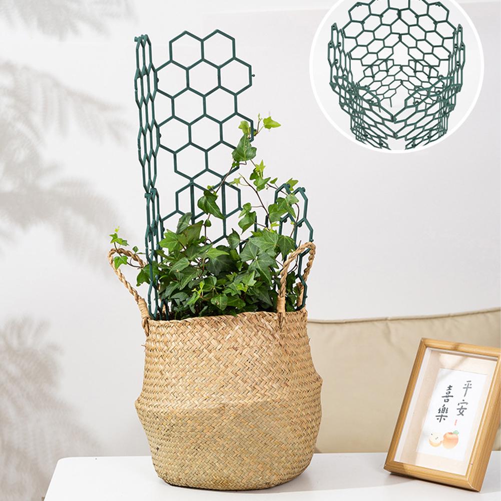 1/2/5Pcs Plastic Plant Support - Florist Supp avaliação e preço