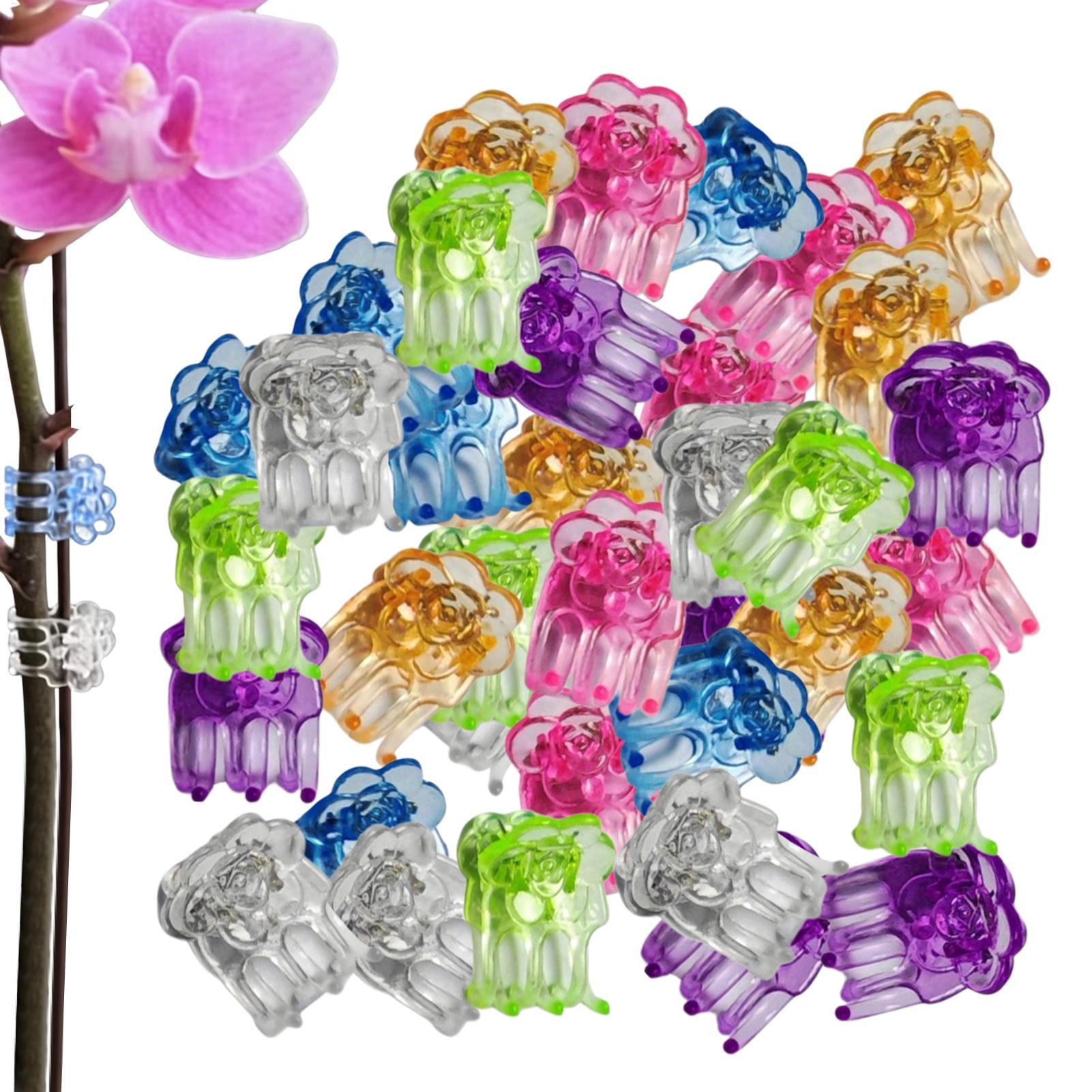 Orchid Clips 60 Pieces Butterf - Florist Supp avaliação e preço