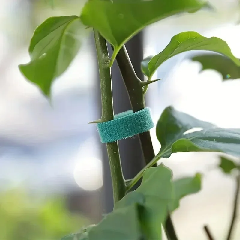 Garden Tape Nylon Cable Tie fo - Florist Supp avaliação e preço