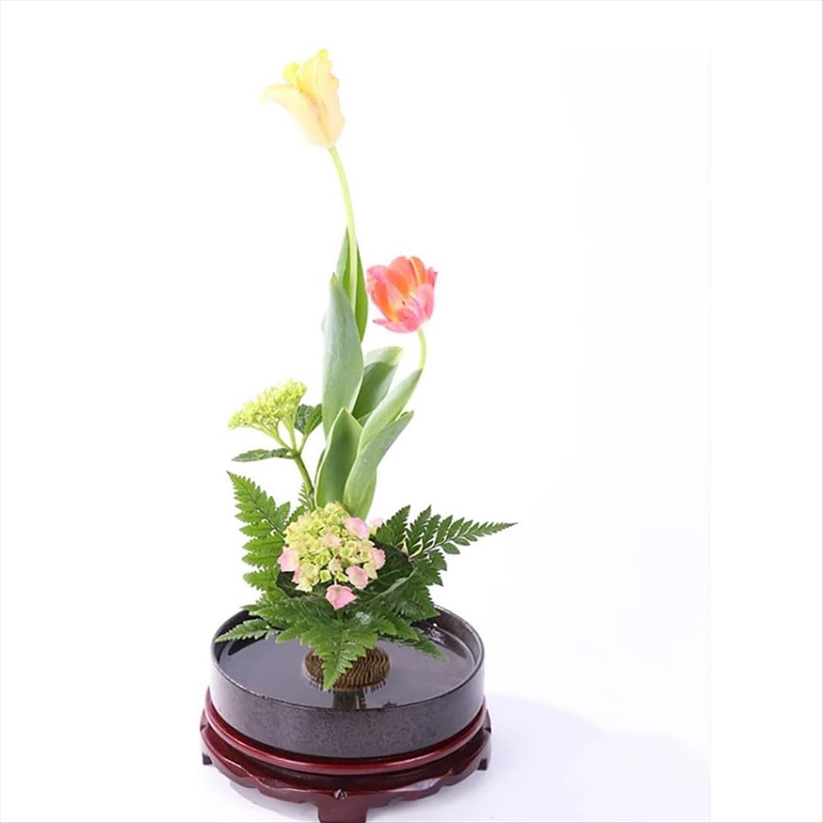 KSOL 12PCS Flower Frog, Kenzan - Flower Frog Pin avaliação e preço