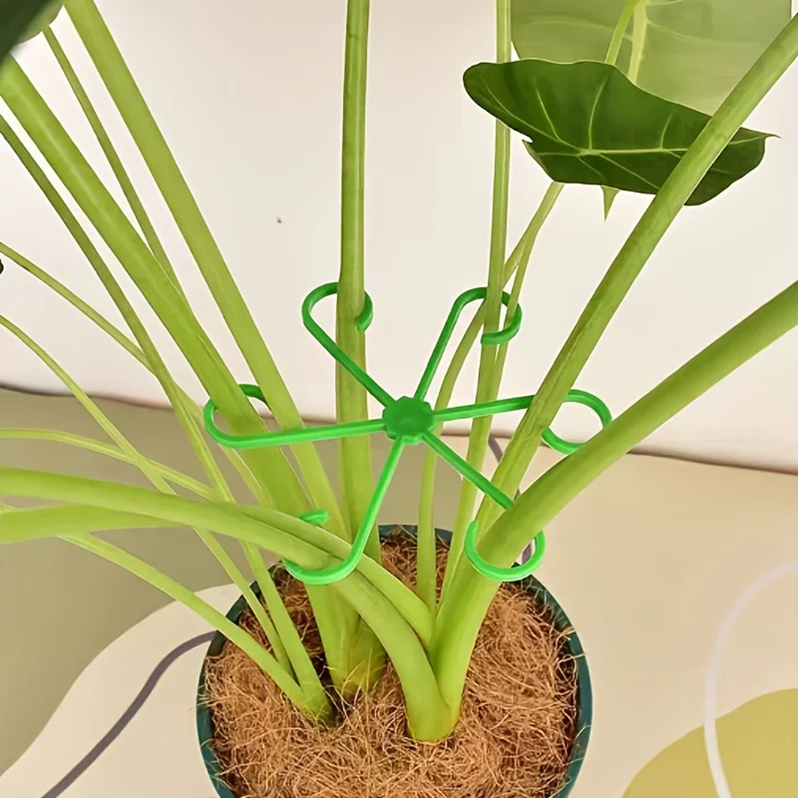 4pcs/set Plant Anti-Toppling S - Florist Supp avaliação e preço
