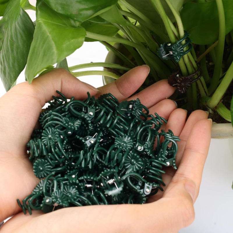 Wholesale Mini Plant Support C - Florist Supp avaliação e preço