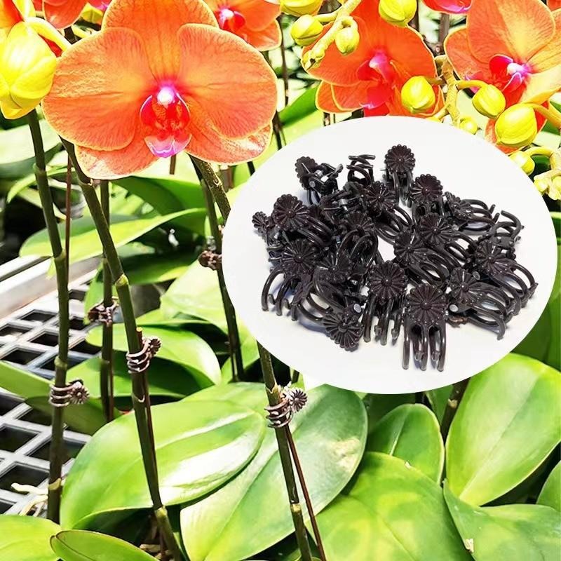 Wholesale Mini Plant Support C - Florist Supp avaliação e preço