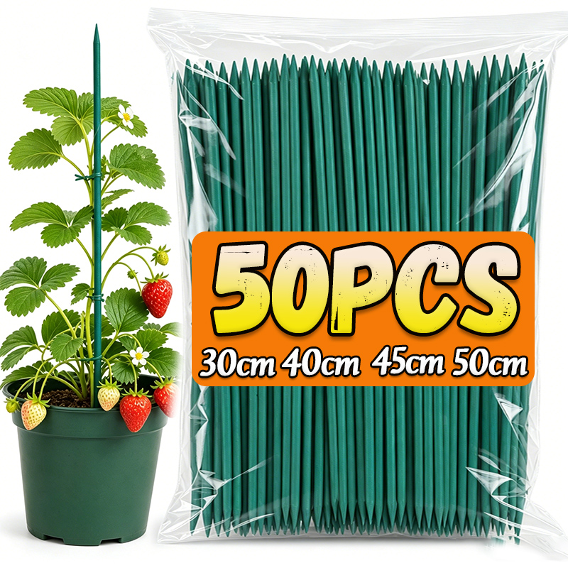 Plant Support Sticks Canes Bam - Florist Supp avaliação e preço