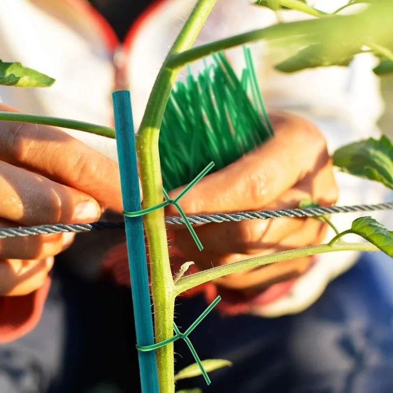 Plant Support Sticks Canes Bam - Florist Supp avaliação e preço