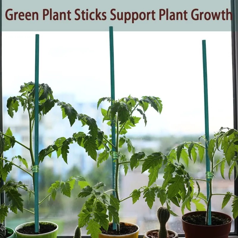 Plant Support Sticks Canes Bam - Florist Supp avaliação e preço