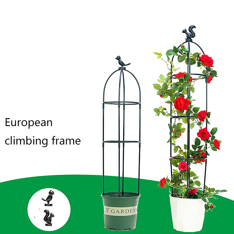 C 1Set Climbing Plant Trellis  - Florist Supp avaliação e preço