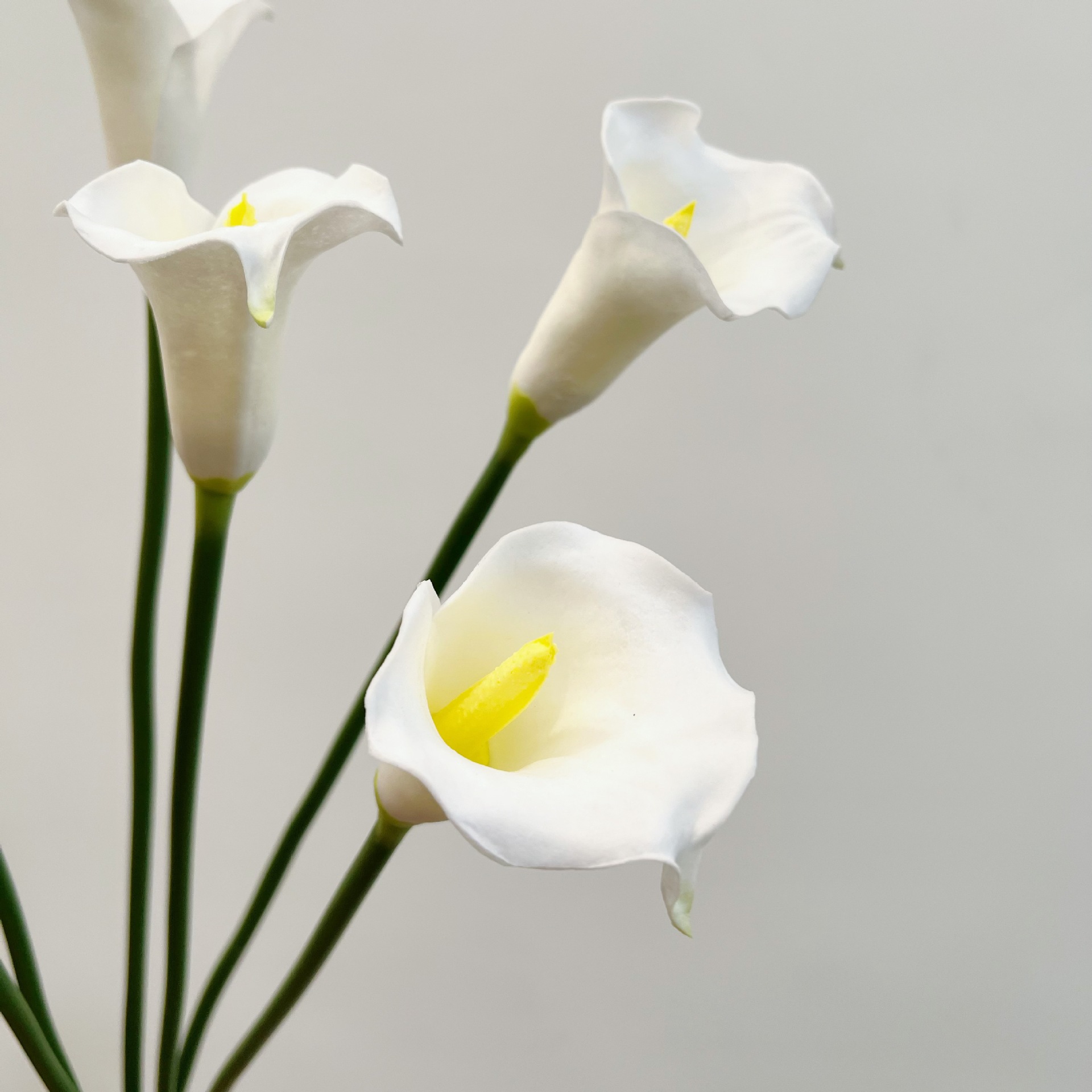 26 Inch Single Stem Crescent C - Florist Supp avaliação e preço