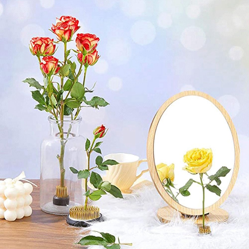 Hot 12PCS Flower Frog, Kenzan  - Flower Frog Pin avaliação e preço