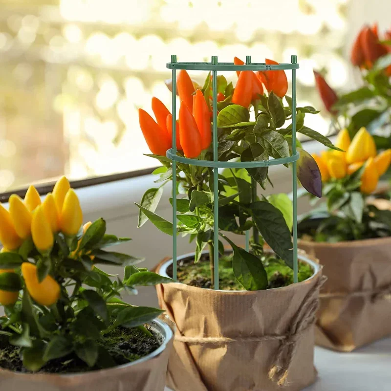 Plastic Plant Support Pile Sta - Florist Supp avaliação e preço