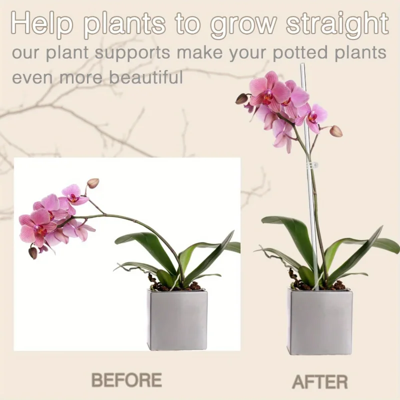 New 10 Transparent Plant Suppo - Florist Supp avaliação e preço