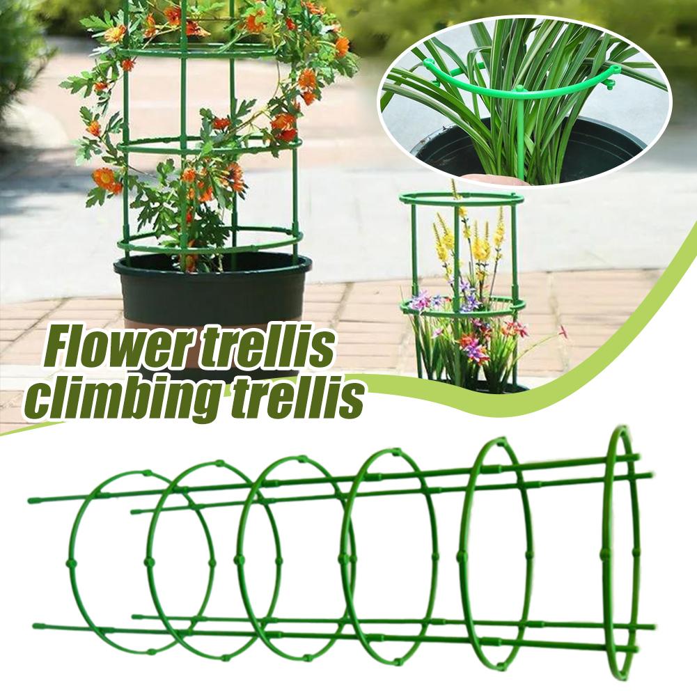 3 Layers Plant Support Plant S - Florist Supp avaliação e preço