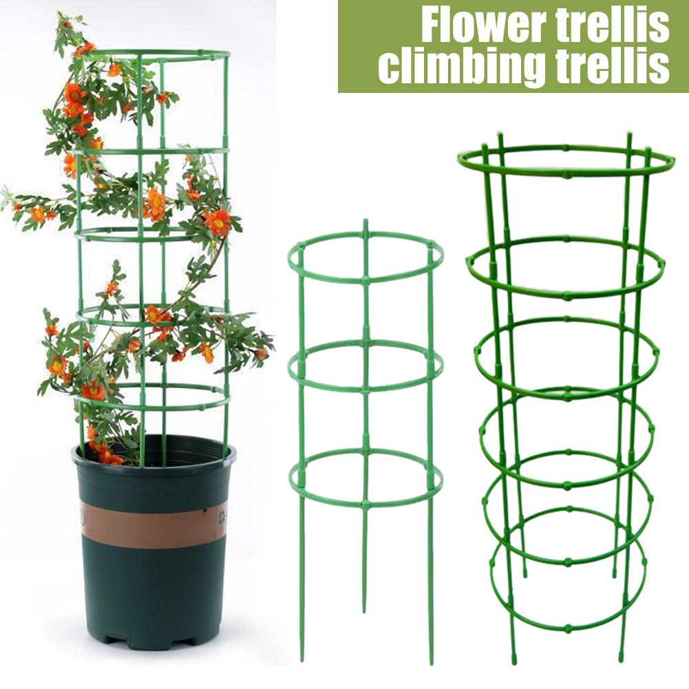 3 Layers Plant Support Plant S - Florist Supp avaliação e preço